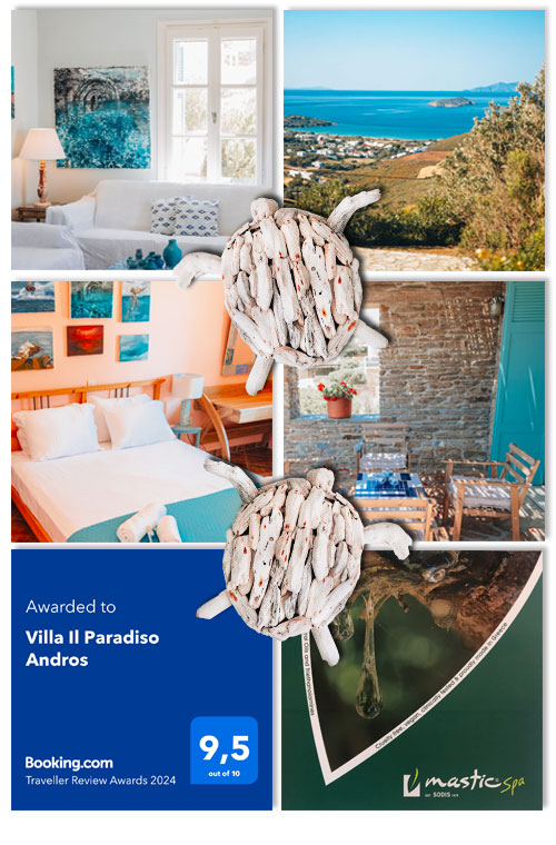 βιλα τιμη ανδρος