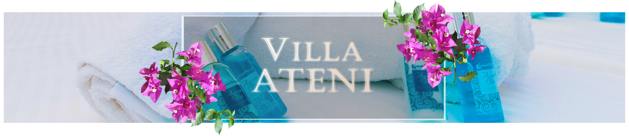 villa ateni andros