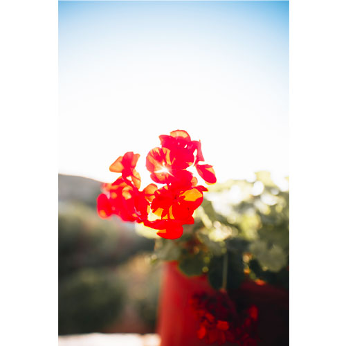 διακοπες ανδρος