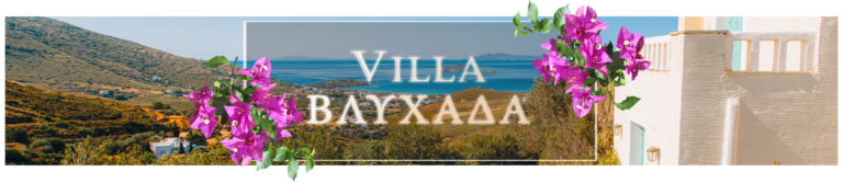Ξενοδοχείο Βλυχάδα Άνδρος